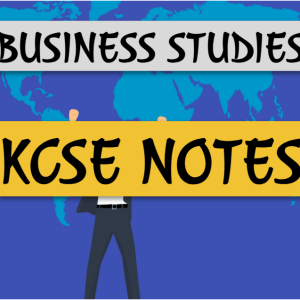 BUSINESS-STUDIES-NOTES.jpg